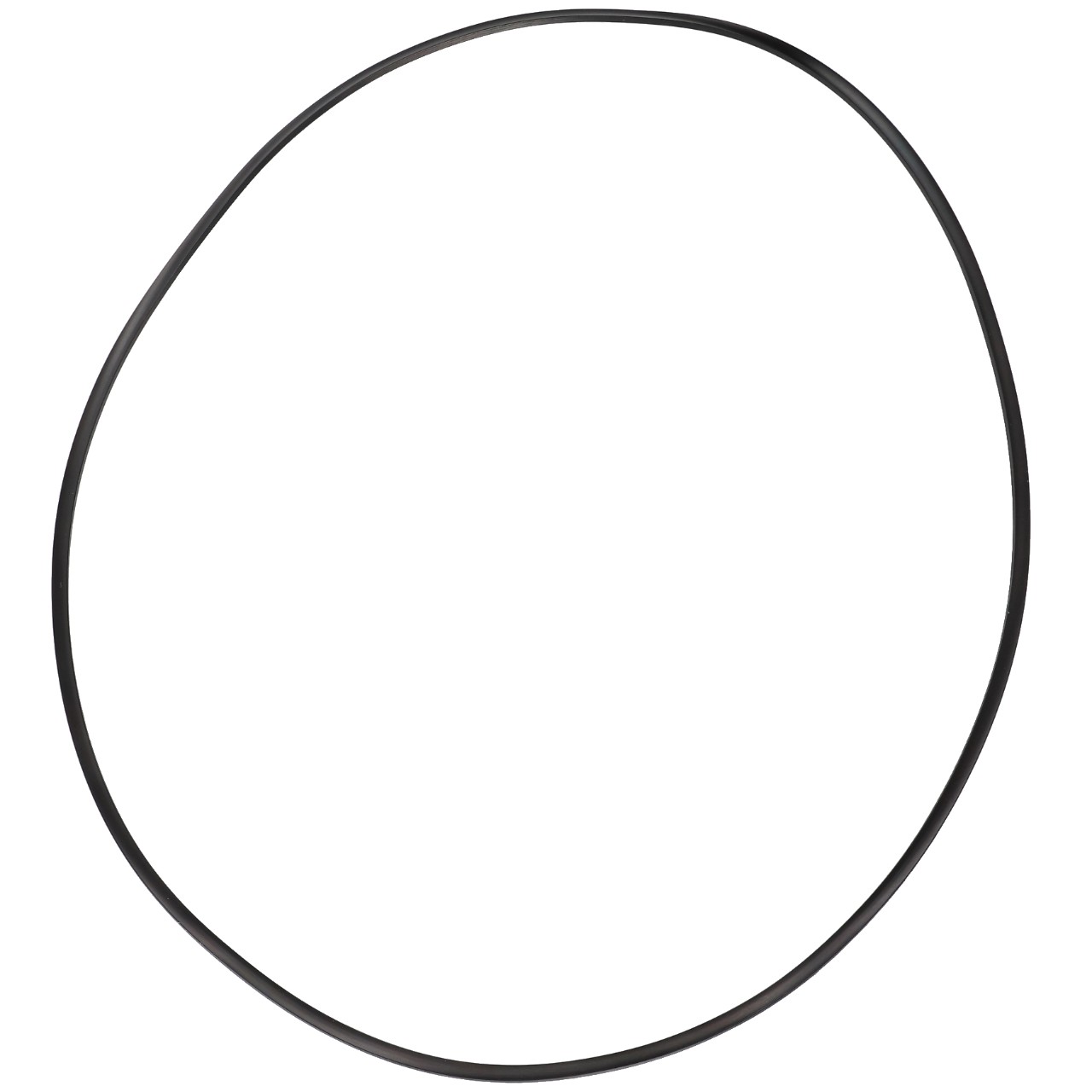 SUPPORTING RING AGCO Parts