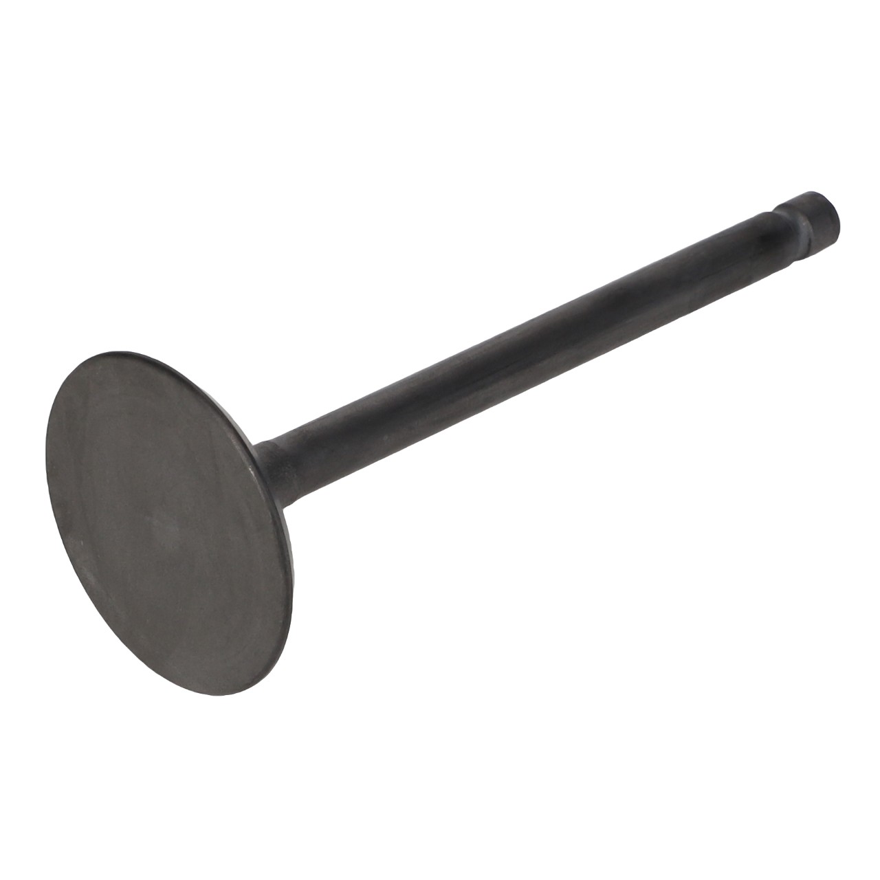 INTAKE VALVE MF 1428 V MF 1428 V MF 1400 Compacts Tractors