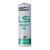 AA, Long-Life Lithium Flowmeter Battery