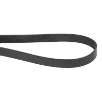Serpentine Belt, 8PK, Black