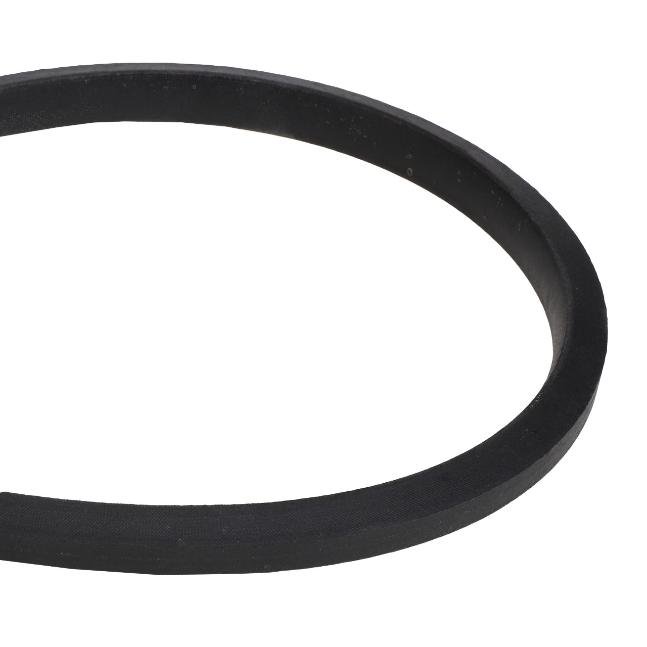 Reel Drive Belt AGCO Parts