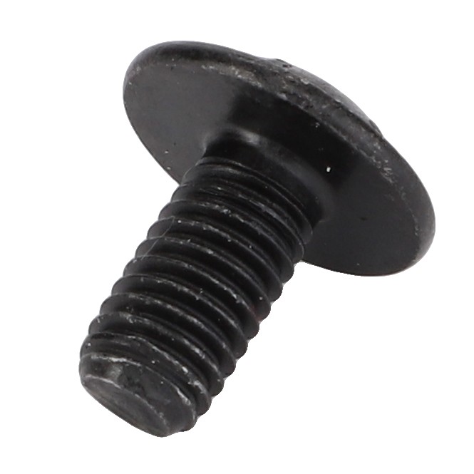TORX HEAD SCREW ACW5571990 | AGCO Parts 