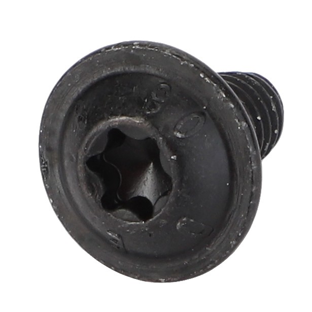 TORX HEAD SCREW ACW5571990 | AGCO Parts 