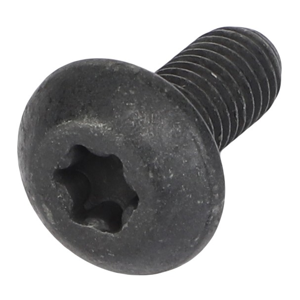 TORX HEAD BOLT AGCO UKB2B2C Site