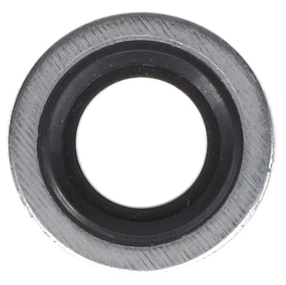 Sealing Washer V836684767 | AGCO Parts
