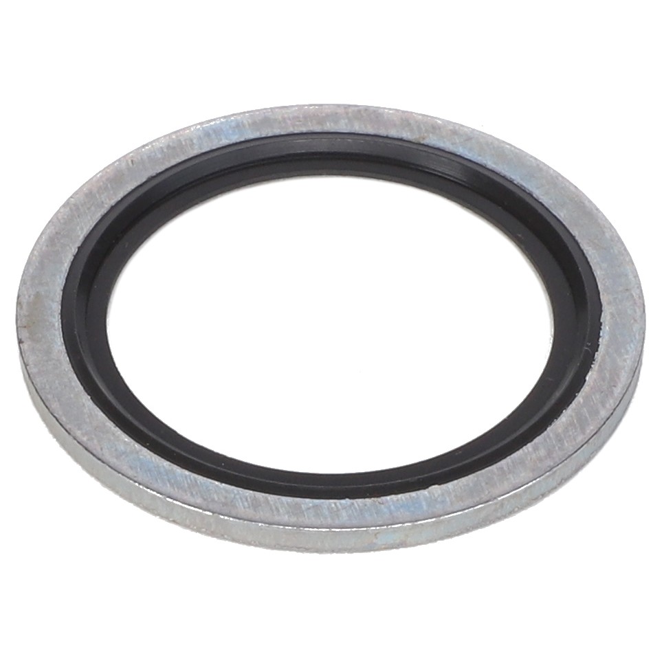 SEALING WASHER V836684777 | AGCO Parts