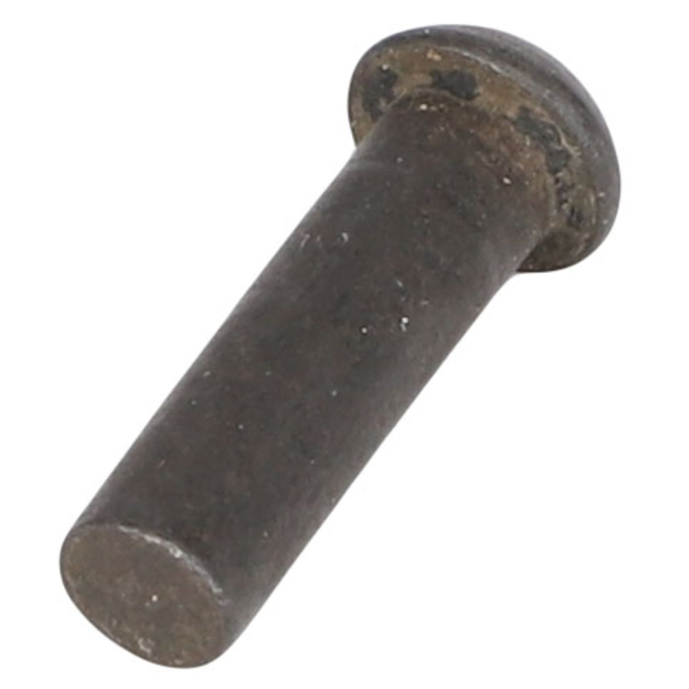 RIVET BOX 480817M91 | AGCO Parts