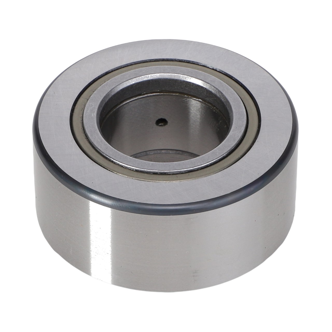 Support Roller Bearing AGCO Parts