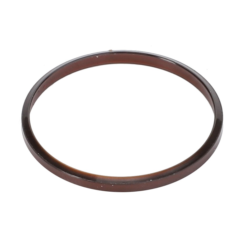 SUPPORTING RING AGCO Parts