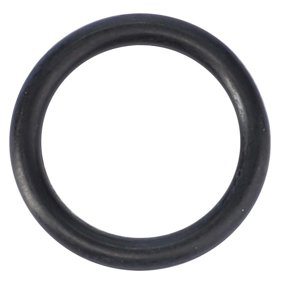 ORing, Hydraulics AGCO Parts