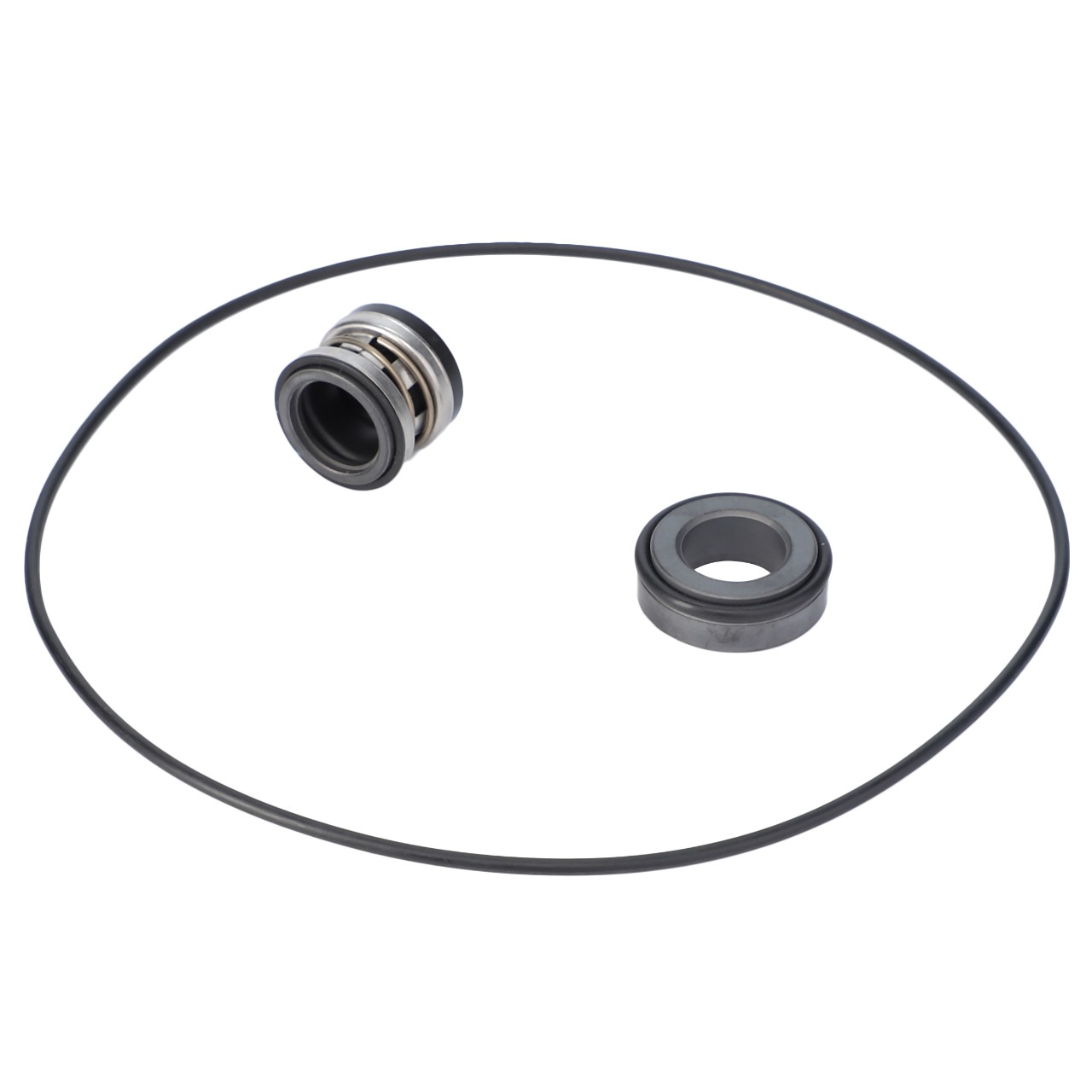 Seal Kit, Pump, Sprayer AG122578 AGCO Parts