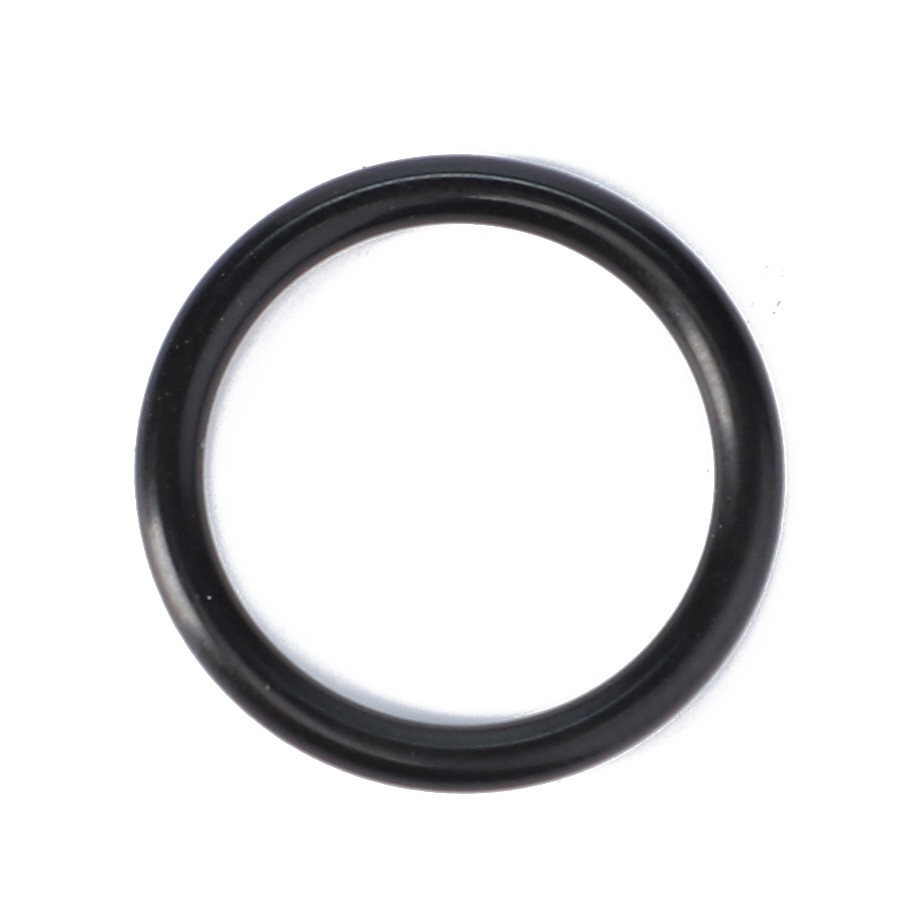 AGCO | O-Ring, Hydraulic Pump - Ag000338 main image 0