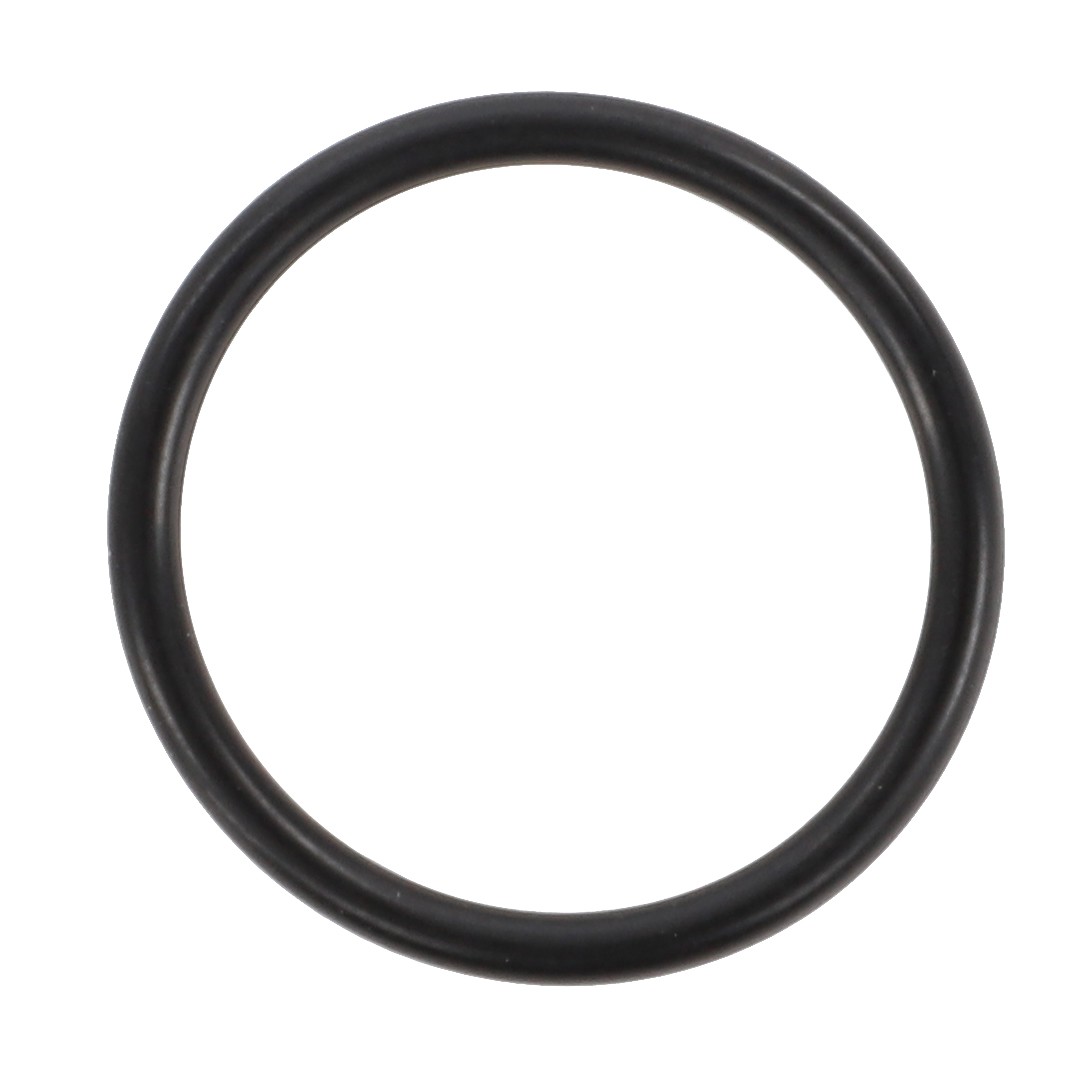 O-RING X548857566000 | AGCO Parts