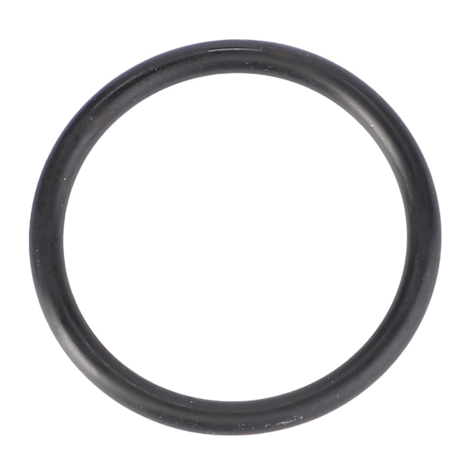 O-Ring, Ø 23,3 X 2,4 mm X548870566000 | AGCO UKB2B2C Site