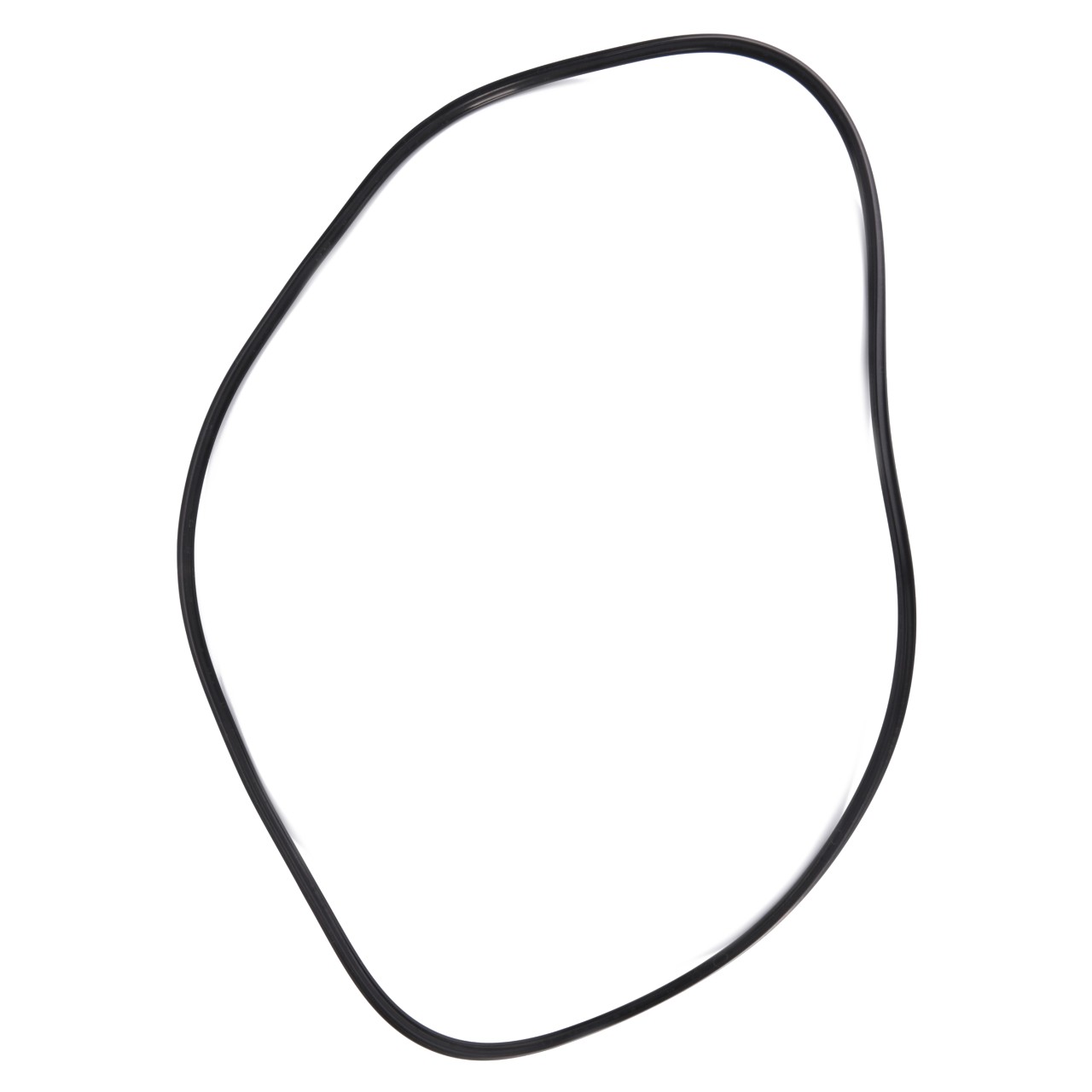 AGCO | Gasket, Piston Gasket - 3790323M1 main image 0