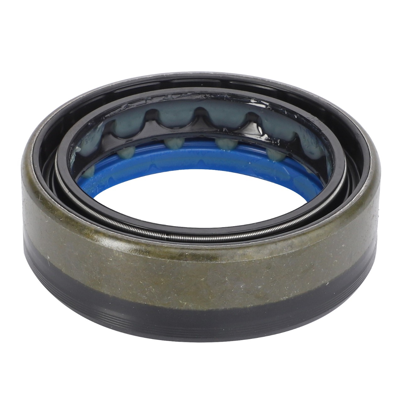 SHAFT SEAL | AGCO Parts