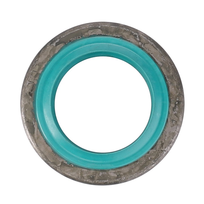 Shaft Seal, PTO | AGCO IEB2B2C Site