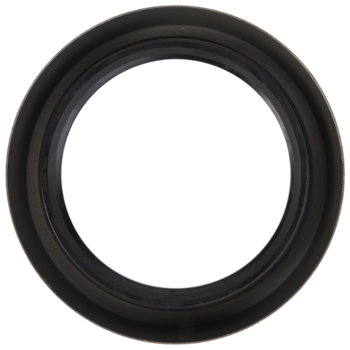 RADIAL SEALING RING Seals AGCO Parts