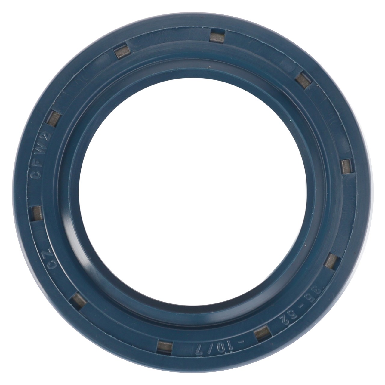 Radial Seal Ring AGCO Parts