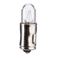 Filament Bulb, 12V 2W