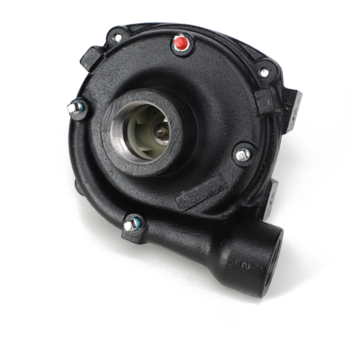 Pump, Belt-Driven, Spra-Coupe, OEM 92020 6668810 | AGCO Parts