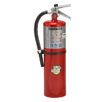 Fire Extinguisher, 10 lb, USA Only
