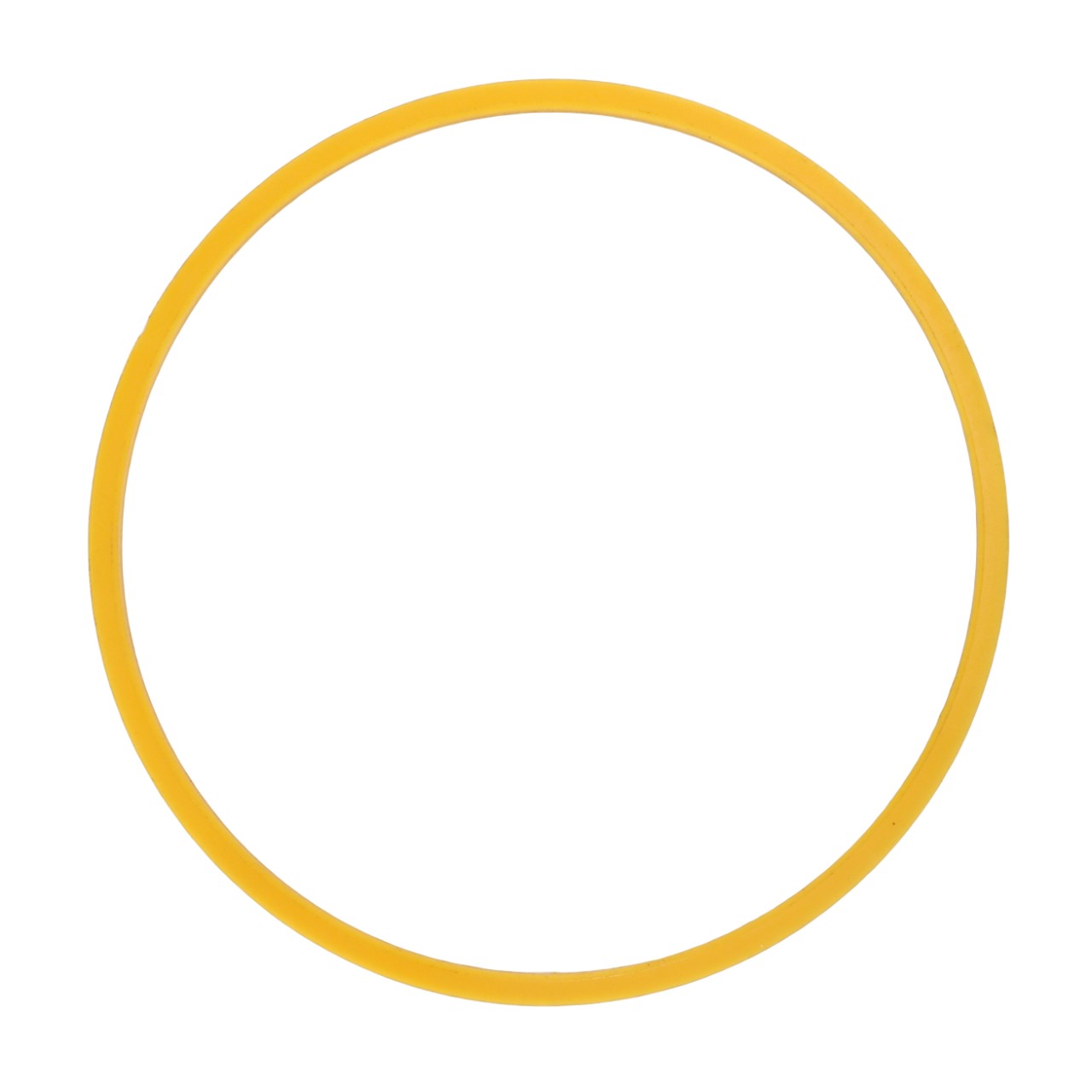 SUPPORTING RING AGCO Parts