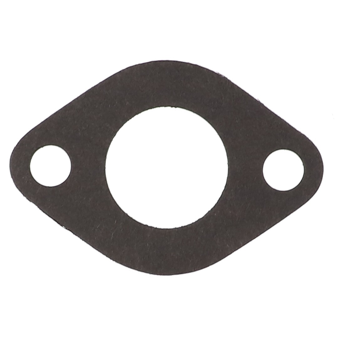GASKET 30-3009599 | AGCO Parts